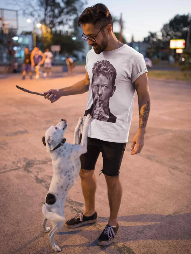 David Bowie 2  T-shirt