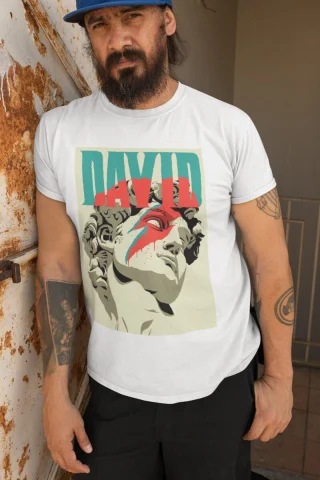David Bowie T-shirt, David Bowie Tee, For Bowie Fans, Bowie Tribute, Vintage Music Icon, For Music Lovers, Famous Singer Retro