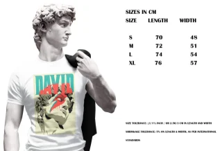 David Bowie T-shirt, David Bowie Tee, For Bowie Fans, Bowie Tribute, Vintage Music Icon, For Music Lovers, Famous Singer Retro — alternate view
