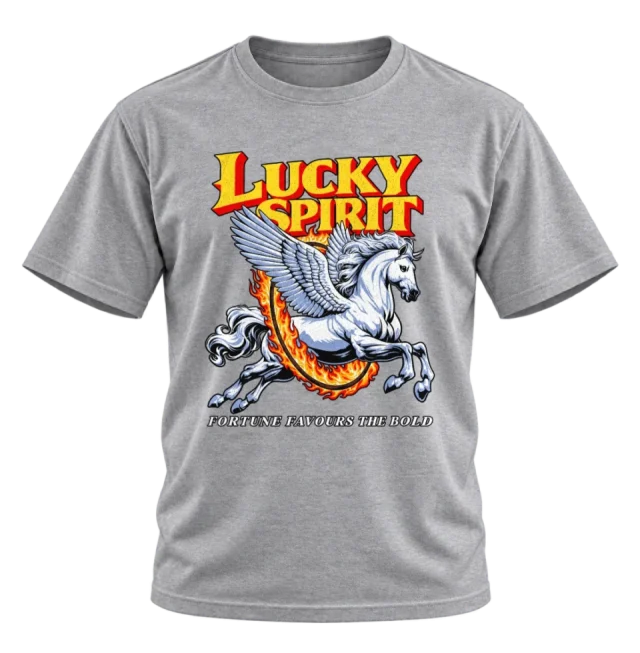 Grey T-shirt with Lucky Spirit lettering, a winged horse and orange flames on the front